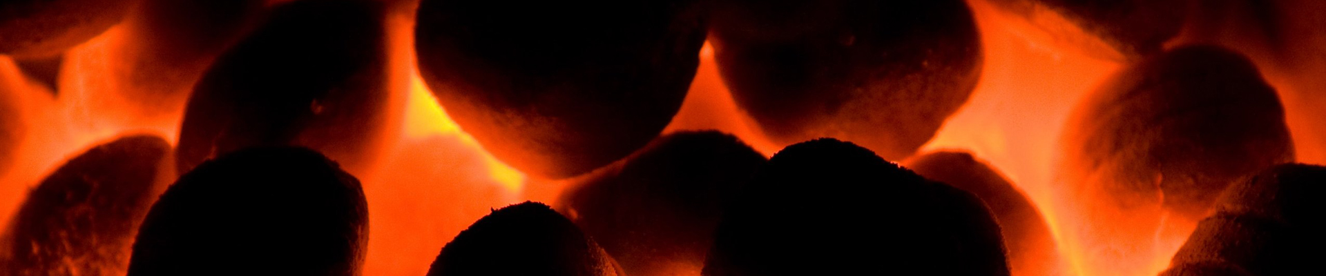 Coal, Wood and Alternative Fuels